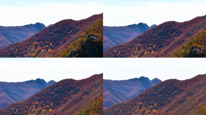 航拍大青山秋景