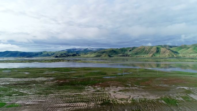 西藏 草地 河流 山雾