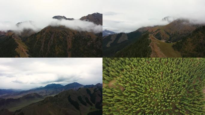 新疆航拍穿过云层山脉森林震撼风景4K大片