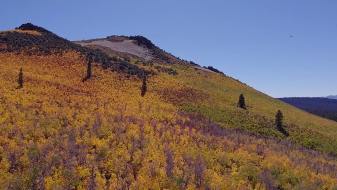 加利福尼亚州莫诺县Sage Hen峰会上的秋天色彩-空中无人机拍摄的照片显示了东部塞拉利昂的秋天色彩