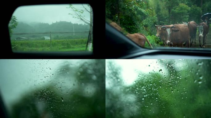 雨天开车看向窗外风景郊外沿途风光车窗雨滴