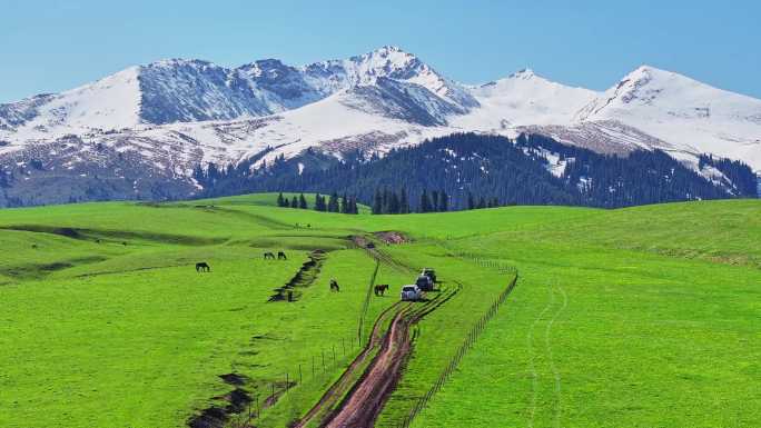 穿越新疆雪山下的草原