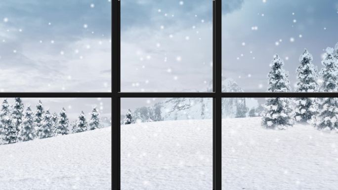冬季景观与雪和树木。窗外景色