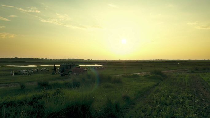 夕阳下一辆汽车在草原驰骋