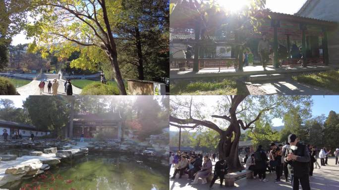 北京香山公园金秋季节金秋游客游览北京旅游
