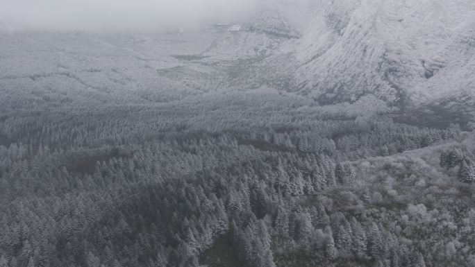 大瓦山森林下雪冬季氛围风景航拍