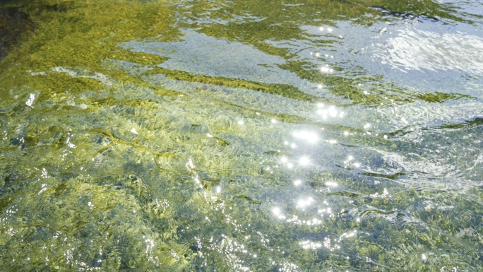 水河流溪水波光粼粼水流