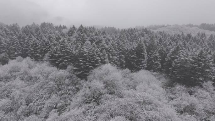 大瓦山下雪冬季氛围风景航拍
