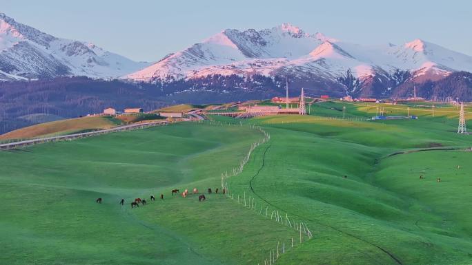 新疆雪山草原的清晨（琼库什台）