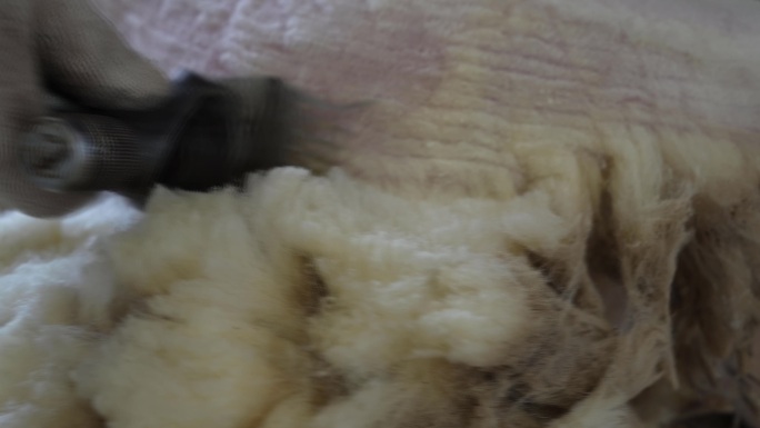 剪羊毛