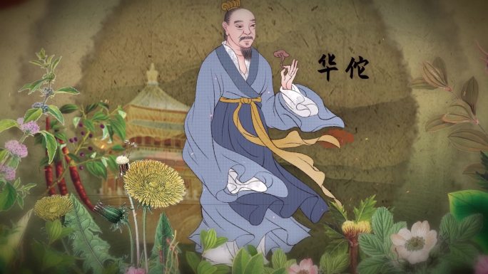 中医草药片头