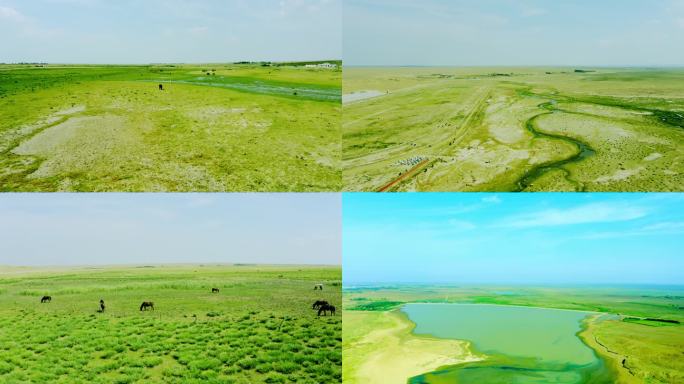 杭锦旗伊和乌素航拍草地