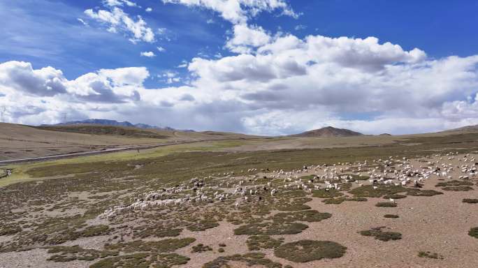 航拍西藏冈底斯山脉放牧风光