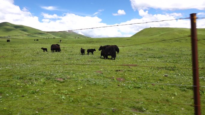 青海果洛藏族自治州自然风光
