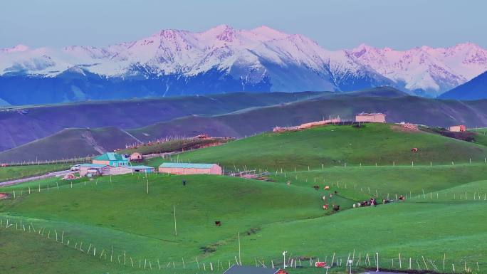 航拍新疆雪山空中草原
