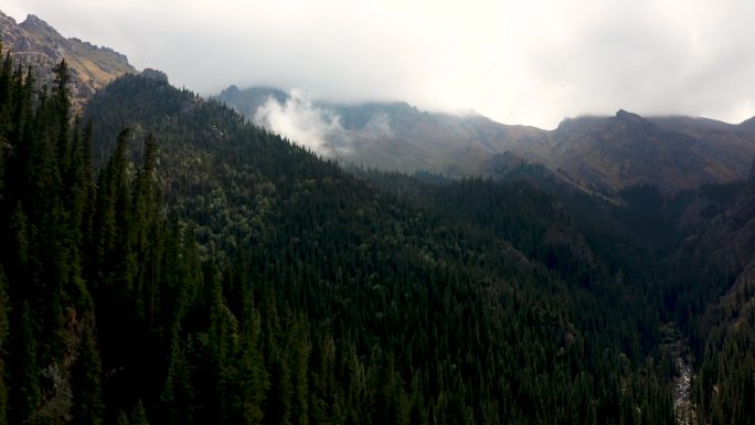 新疆航拍穿过云层山脉森林震撼风景4K大片