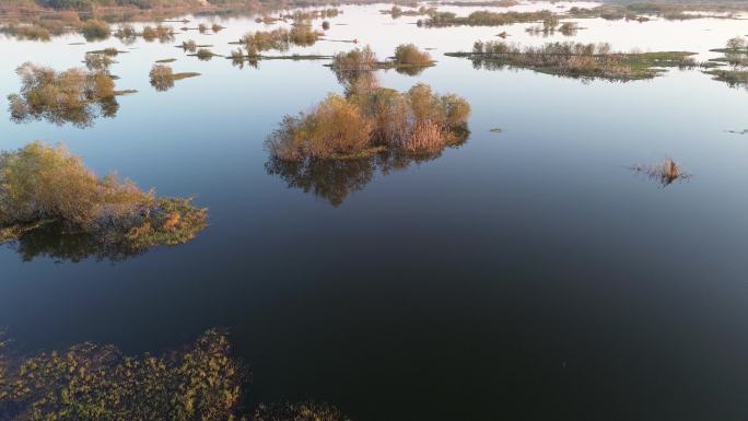 淠河国家湿地公园（赵家嘴段）旋转航拍特写