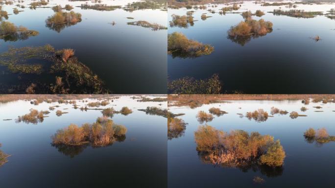 淠河国家湿地公园（赵家嘴段）旋转航拍特写