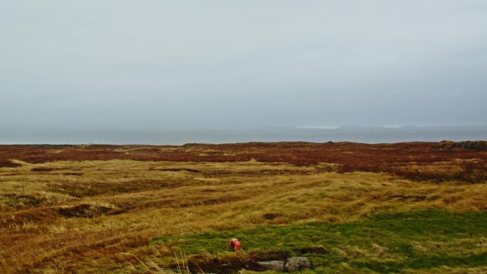 典型的冰岛海岸景观。草变黄了，快干了。