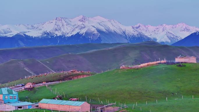 新疆雪山下的草原牧场