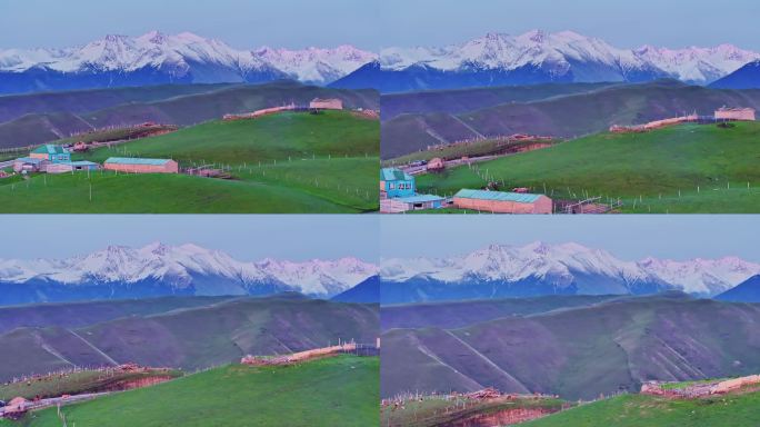 新疆雪山下的草原牧场