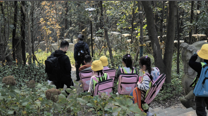 小学生户外活动登山