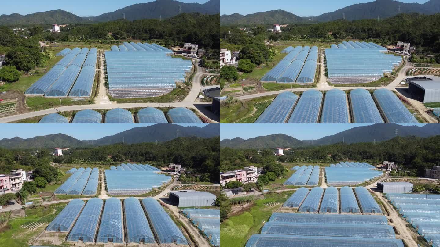 深圳惠州农场大棚种菜生态低碳