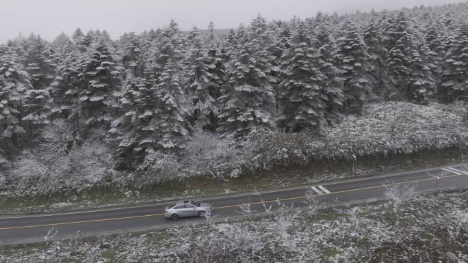 大瓦山森林下雪冬季氛围风景航拍