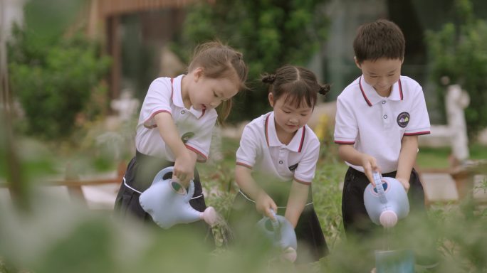 幼儿园户外采菜浇花菜园子