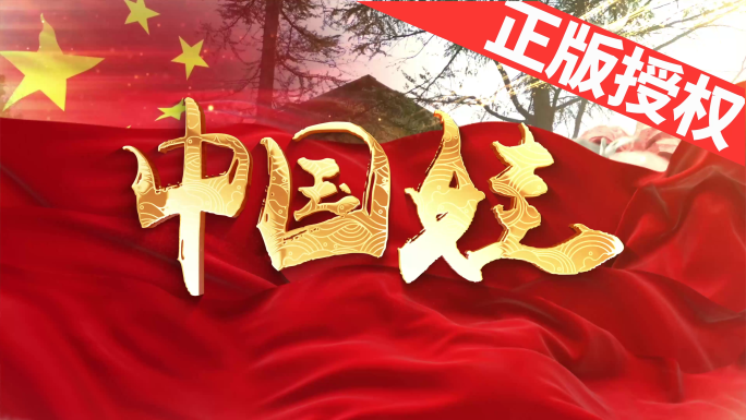 中国娃（可改配乐）