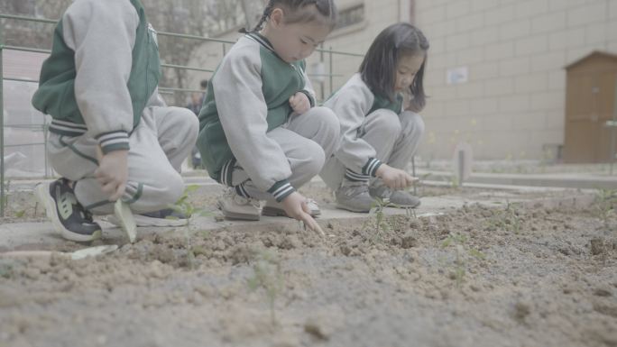 幼儿园校园生活儿童学校欢快4K素材