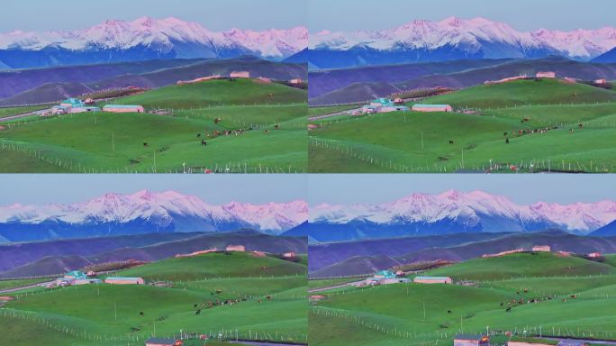 新疆雪山草原牧场