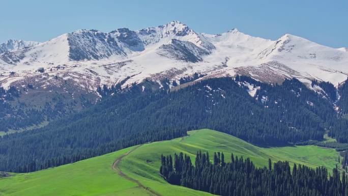 新疆雪山草原森林