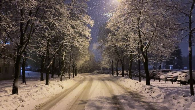 在冬季暴风雪的傍晚，白雪覆盖的街道