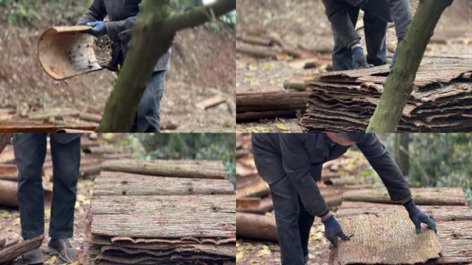 堆叠树皮晾晒树皮屋顶材料收集整理压实树皮