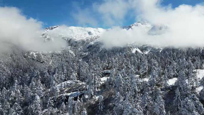 碧罗雪山孔雀山德贡公路