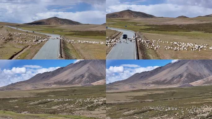 航拍西藏冈底斯山脉牧羊风光