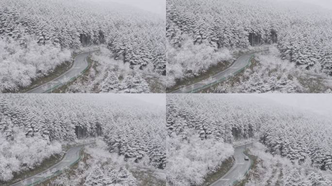 大瓦山森林下雪冬季氛围风景航拍