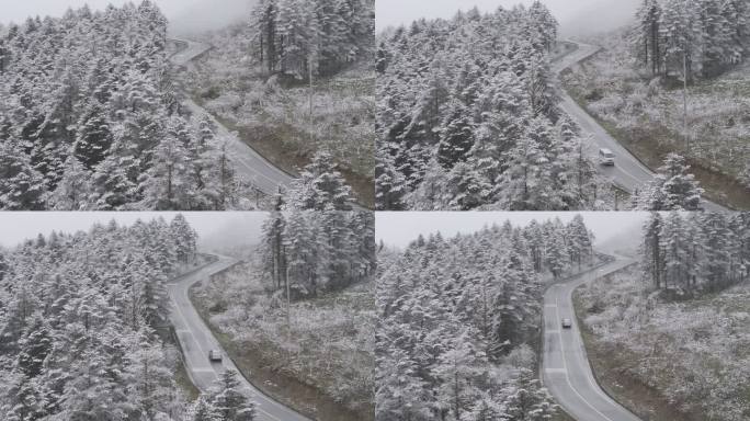 大瓦山森林下雪冬季汽车行驶氛围风景航拍