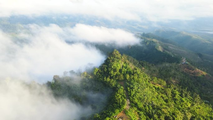 空中无人机拍摄的早晨雨林，有很多雾和薄雾沿着山脊流动