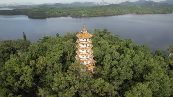 【正版素材】深圳西丽水库