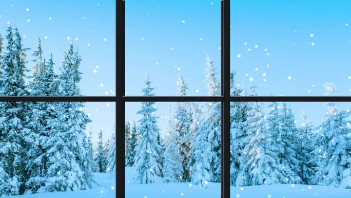 冬季景观与雪和树木。窗外景色