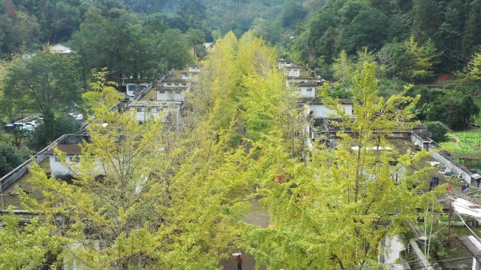 中国广东省韶关市南雄市帽子峰森林公园景区