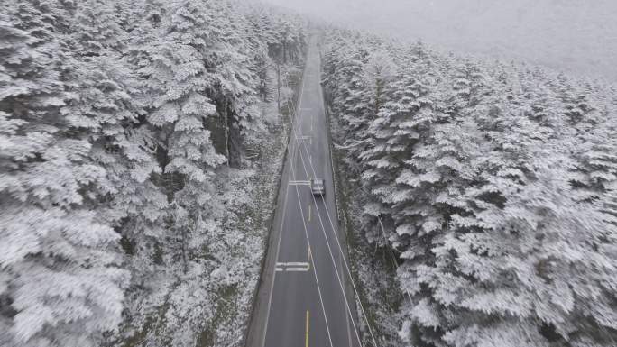 大瓦山森林下雪冬季氛围风景航拍