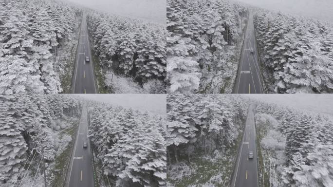 大瓦山森林下雪冬季氛围风景航拍