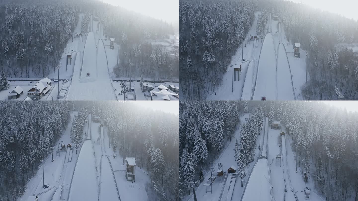 雪山飞山，冬季森林，空中滑雪。