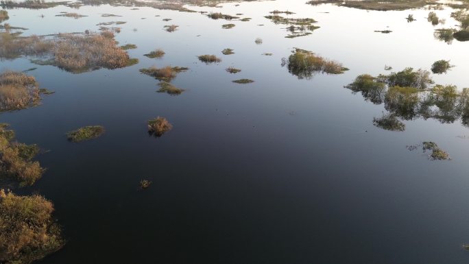 淠河国家湿地公园（赵家嘴段）漫游航拍全景