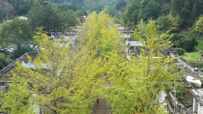 中国广东省韶关市南雄市帽子峰森林公园景区