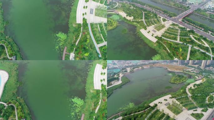 云锦湖公园 生态 湿地 湖 60P