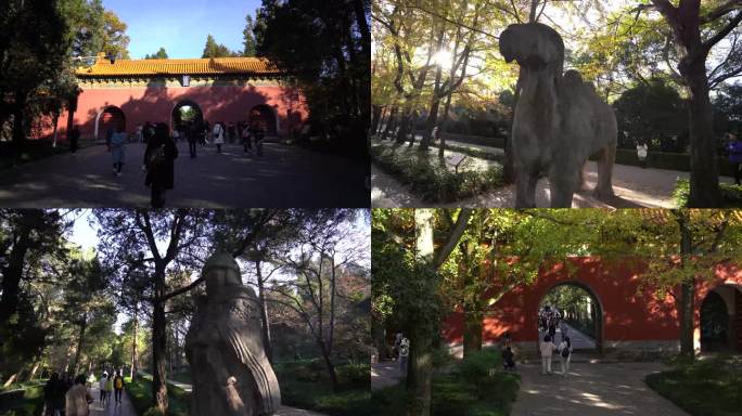 4K明孝陵秋景 空境 石象路  古建筑